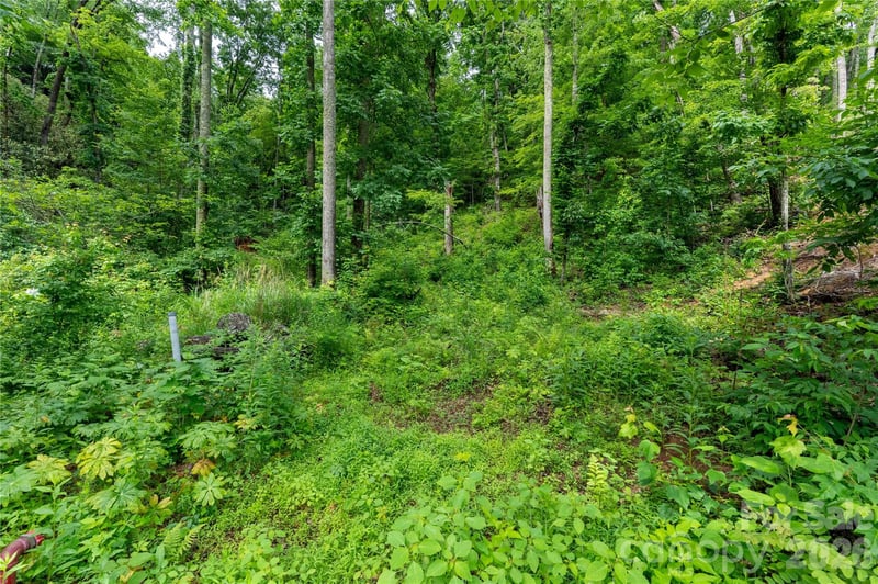334 Carriage Crest Dr, Hendersonville, NC 28791
