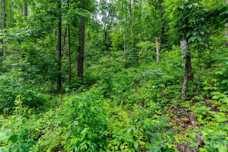 334 Carriage Crest Dr, Hendersonville, NC 28791