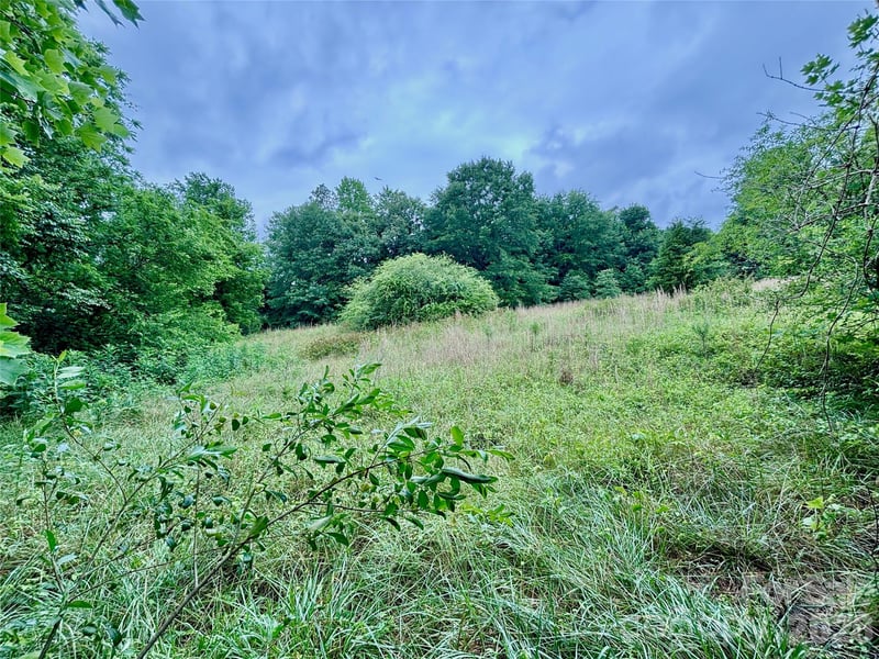 138 Greenhill Farms Dr, Rutherfordton, NC 28139