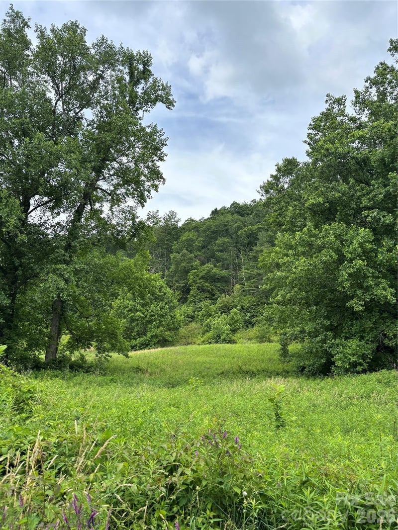 1771 Hughes Gap Rd, Bakersville, NC 28705