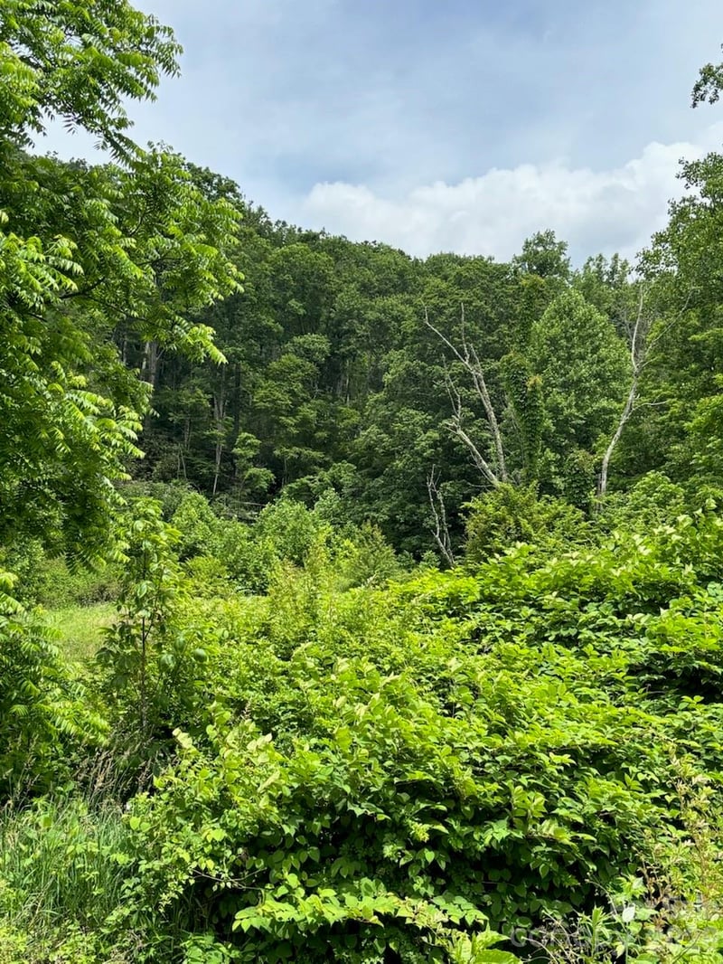 1771 Hughes Gap Rd, Bakersville, NC 28705