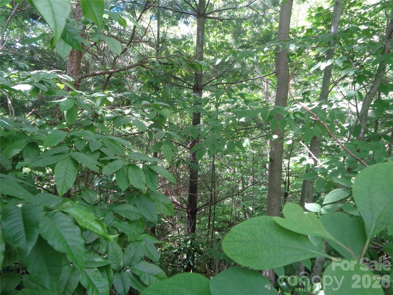 Lot 6 Peaks Creek Trl, Maggie Valley, NC 28751