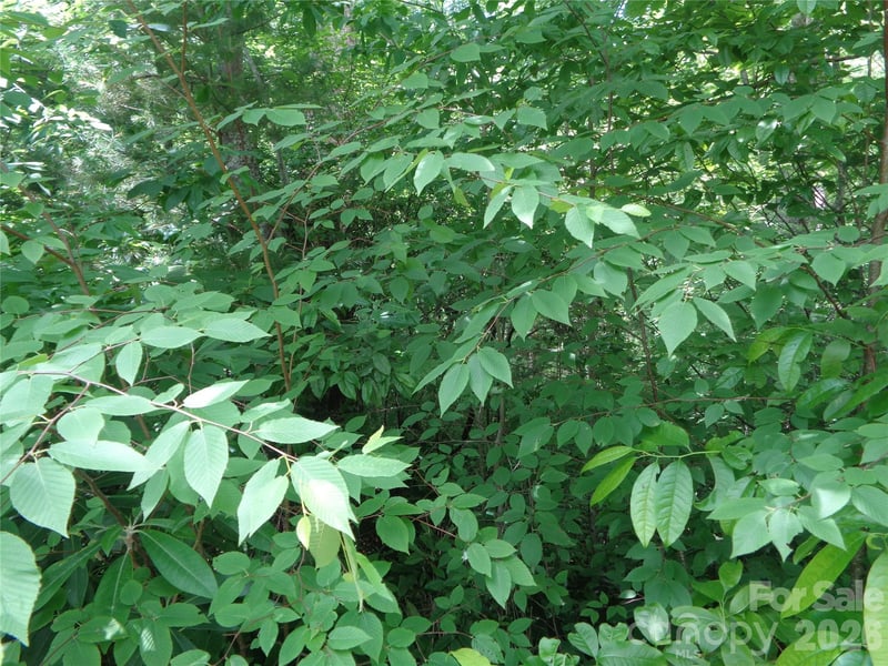 Lot 6 Peaks Creek Trl, Maggie Valley, NC 28751