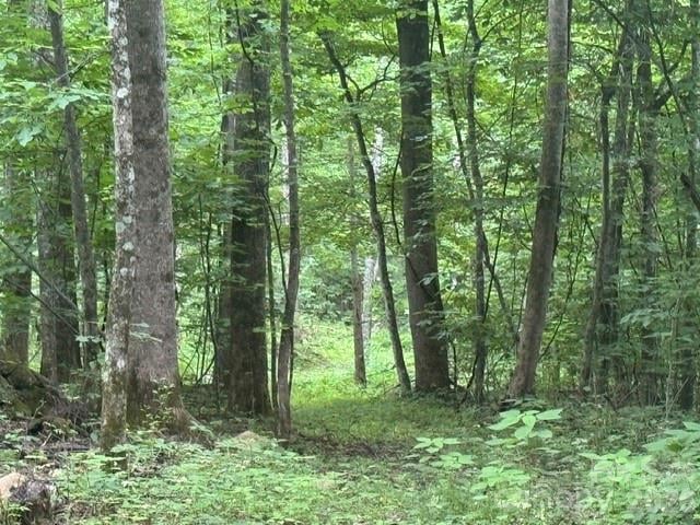 00 Sugar Loaf Mountain Rd, Marshall, NC 28753