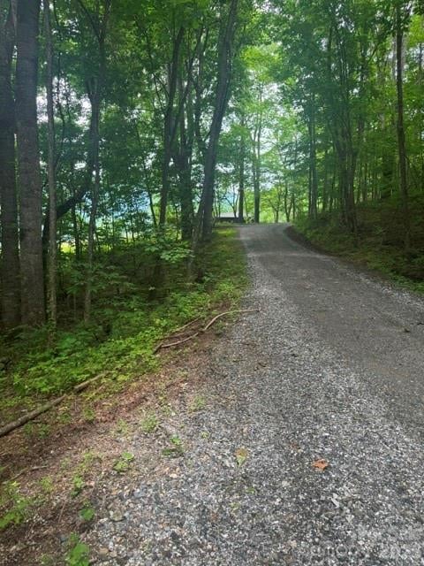 00 Sugar Loaf Mountain Rd, Marshall, NC 28753