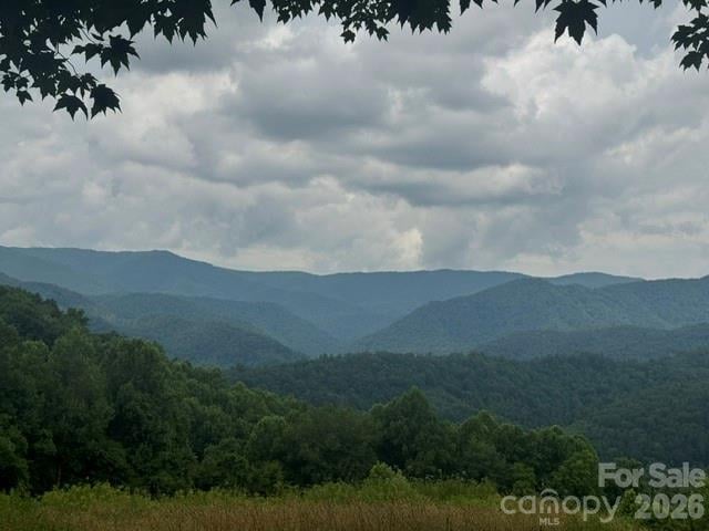 00 Sugar Loaf Mountain Rd, Marshall, NC 28753