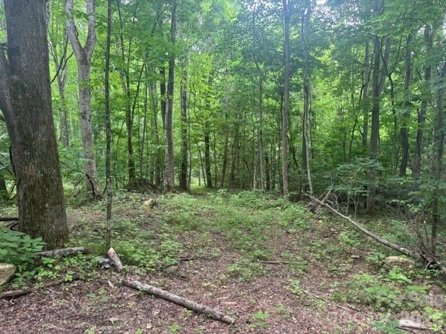 00 Sugar Loaf Mountain Rd, Marshall, NC 28753