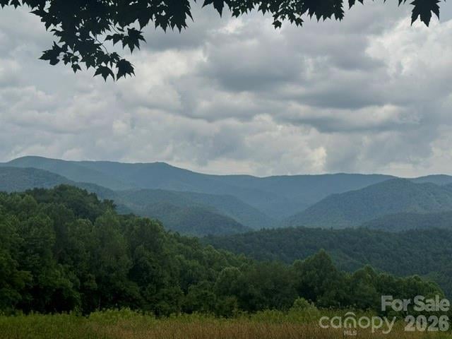 00 Sugar Loaf Mountain Rd, Marshall, NC 28753