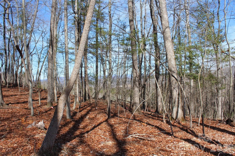 000 Northview Dr #12, Hendersonville, NC 28791