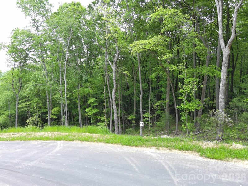 Lot 17 Northview Dr, Hendersonville, NC 28791