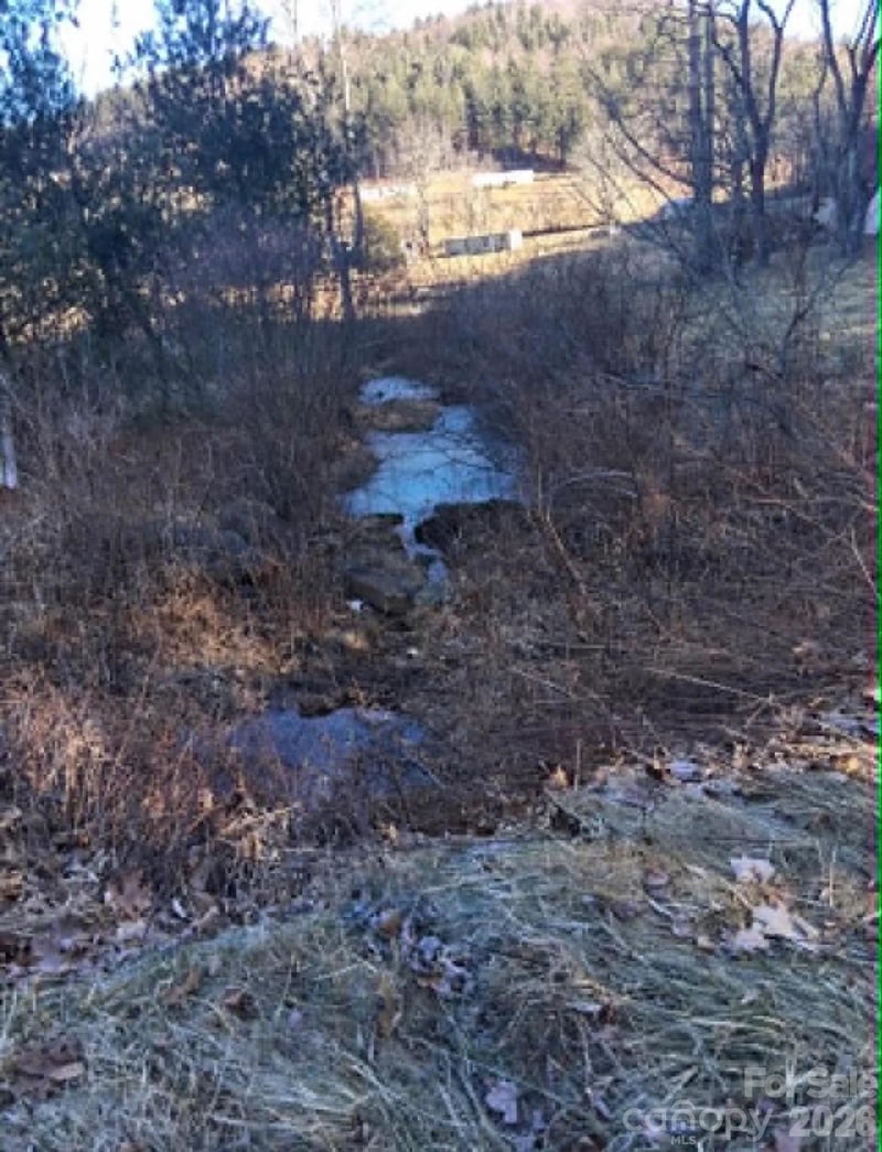 1298 Air Bellows Gap Rd, Sparta, NC 28675