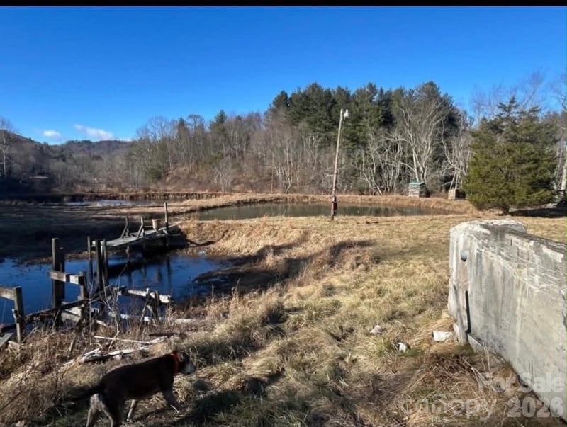 1298 Air Bellows Gap Rd, Sparta, NC 28675