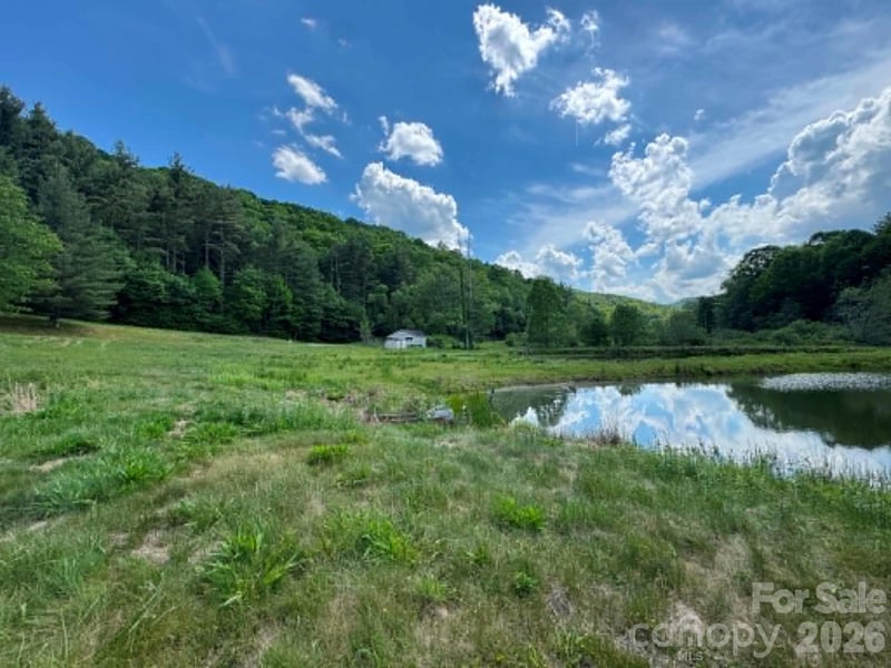 1298 Air Bellows Gap Rd, Sparta, NC 28675