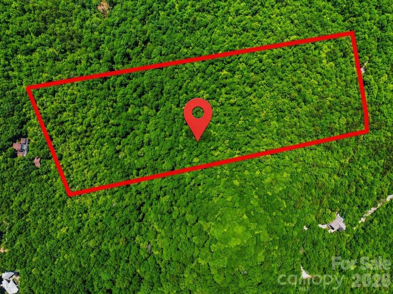 999 Miller Cove Rd, Black Mountain, NC 28711