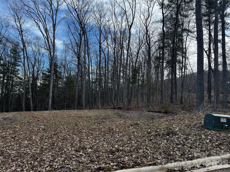 105 Woodland Meadows Dr #Tract A & B, Asheville, NC 28803