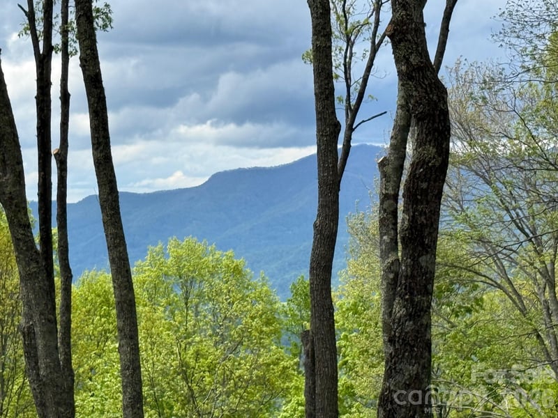 1817 Reach Rd #216, Sylva, NC 28779