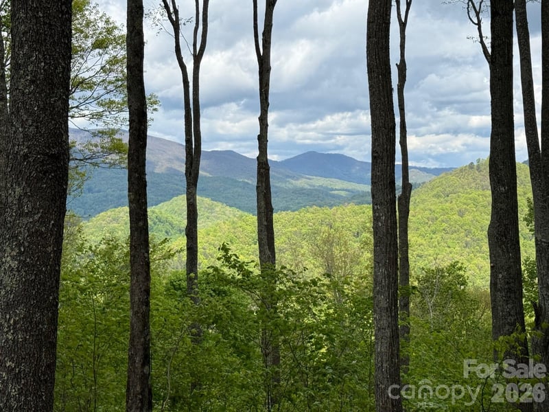 1817 Reach Rd #216, Sylva, NC 28779