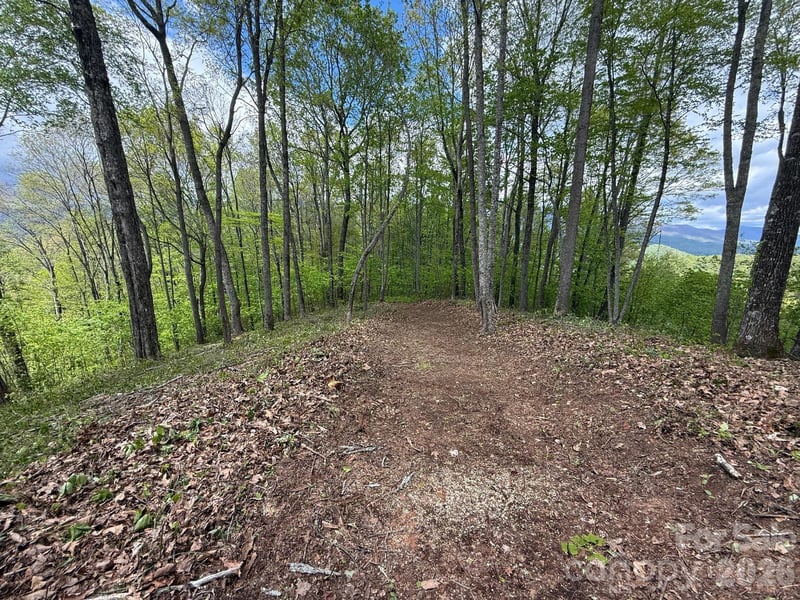 1817 Reach Rd #216, Sylva, NC 28779