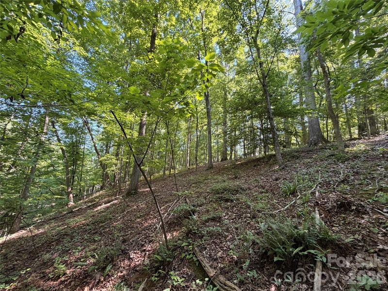 Trollingwood Ln, Mooresville, NC 28117