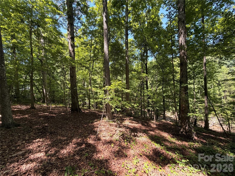 Trollingwood Ln, Mooresville, NC 28117