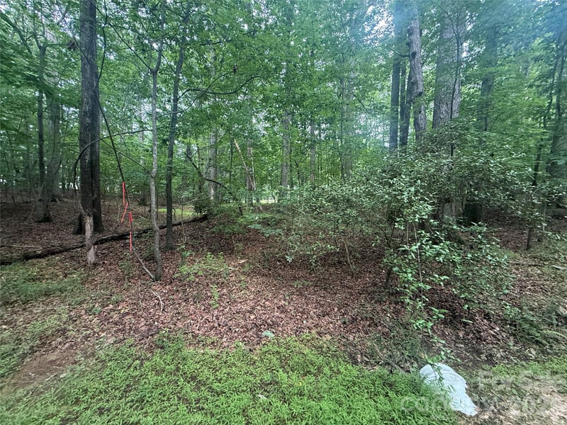 00 Lineberry St, Troy, NC 27371