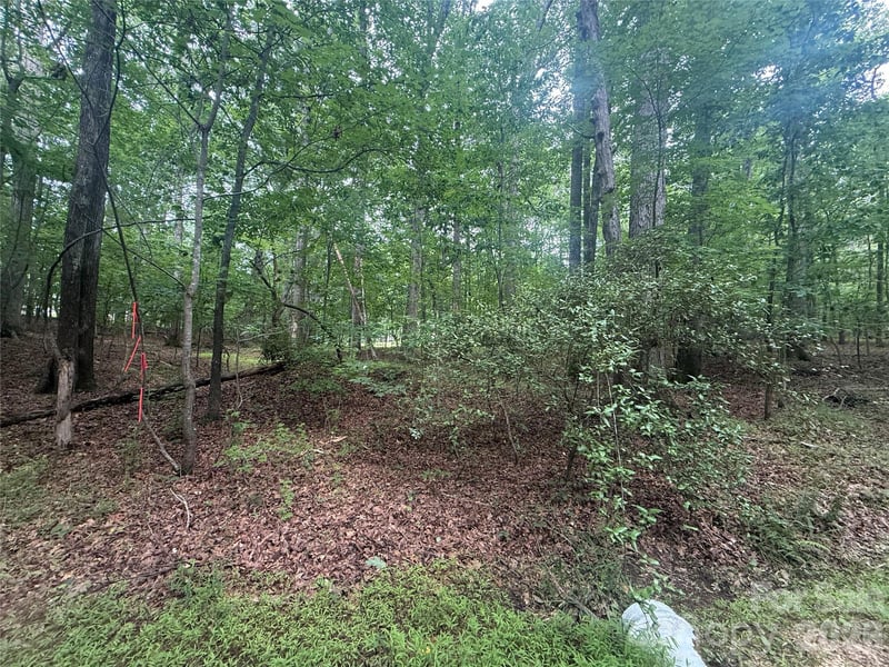 00 Lineberry St, Troy, NC 27371