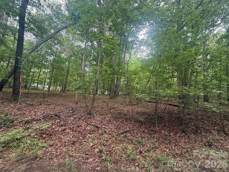 Lineberry St, Troy, NC 27371