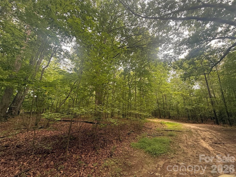 Lineberry St, Troy, NC 27371