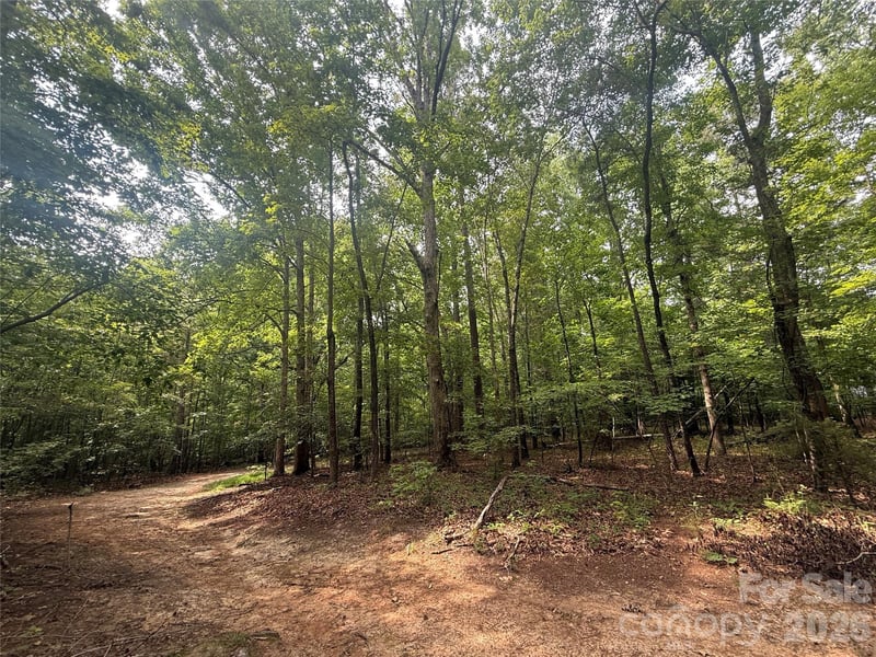 Lineberry St, Troy, NC 27371