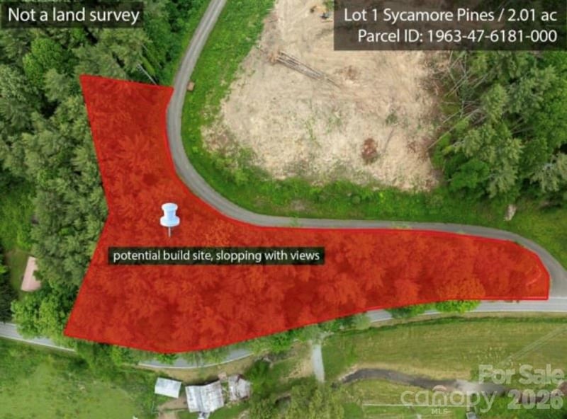 TBD Sycamore Rd, Vilas, NC 28692