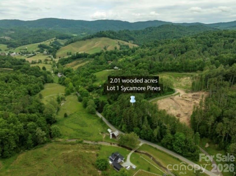TBD Sycamore Rd, Vilas, NC 28692