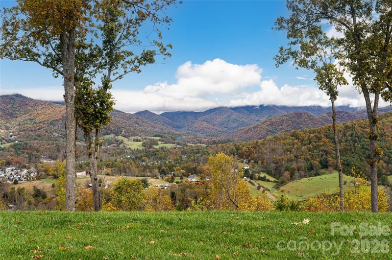99999 Bear View Rd, Weaverville, NC 28787
