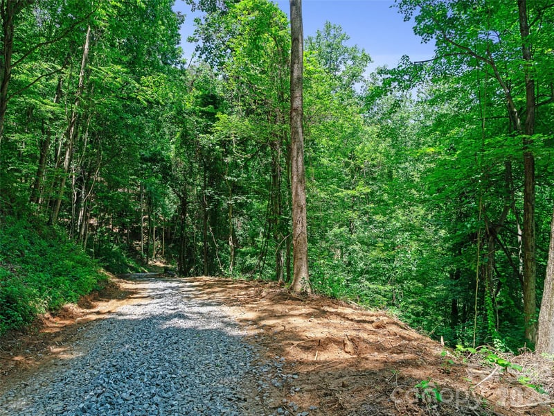 9999 Lovebird Ln #20, Candler, NC 28715