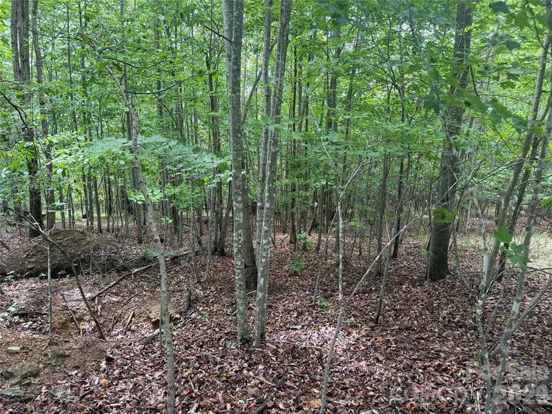 VL Scenic Vista Dr #246, Nebo, NC 28761