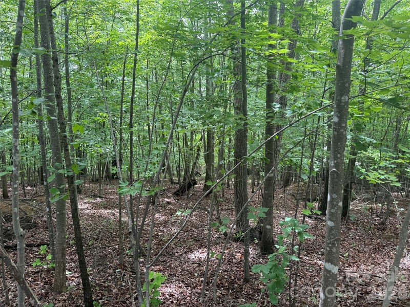 VL Scenic Vista Dr #246, Nebo, NC 28761