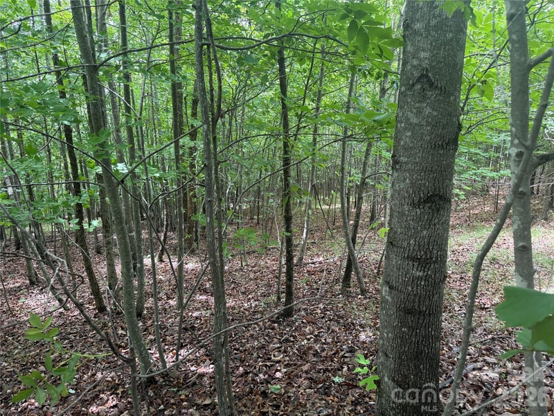 VL Scenic Vista Dr #246, Nebo, NC 28761
