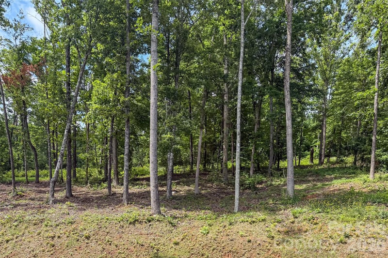 00000 Bear View Rd, Weaverville, NC 28787