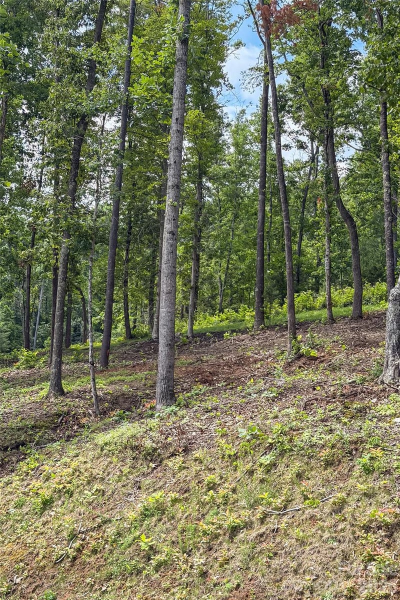 00000 Bear View Rd, Weaverville, NC 28787