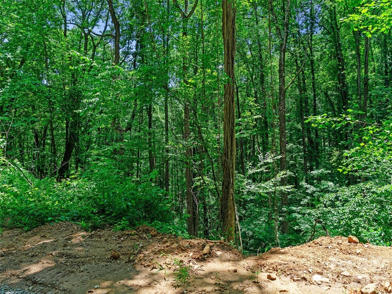 9999 Lovebird Ln #19, Candler, NC 28715