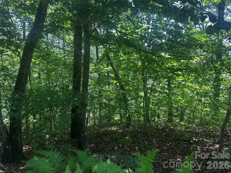 South Dr, Lake Lure, NC 28746