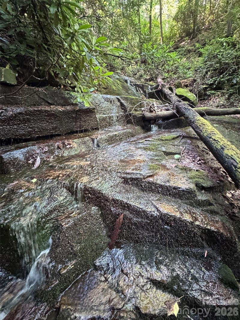 000 Chestnut Oak Ln, Pisgah Forest, NC 28768
