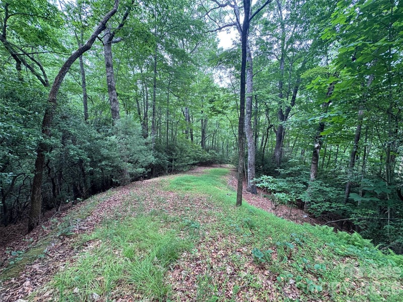 000 Chestnut Oak Ln, Pisgah Forest, NC 28768
