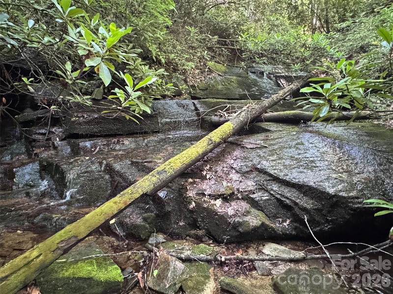 000 Chestnut Oak Ln, Pisgah Forest, NC 28768