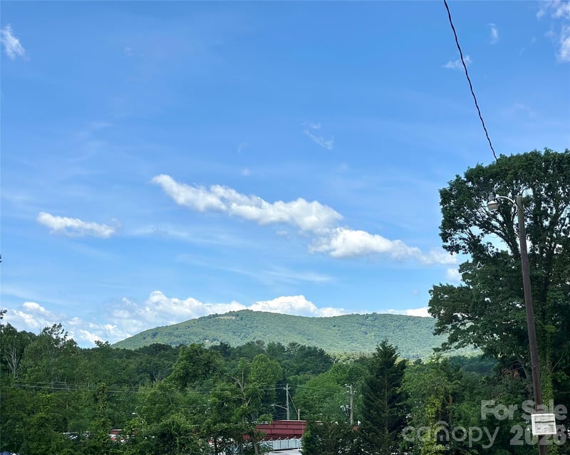 25 Oak Hill Dr #1, Asheville, NC 28806