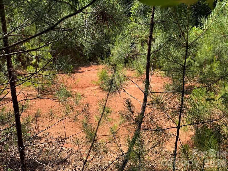 206 Corry Ln, Bostic, NC 28018