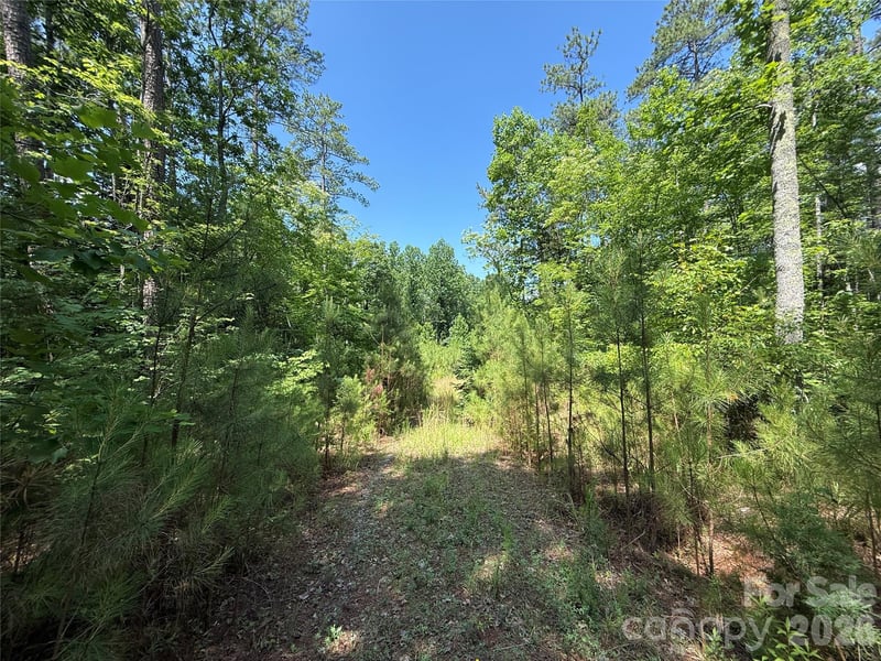 206 Corry Ln, Bostic, NC 28018