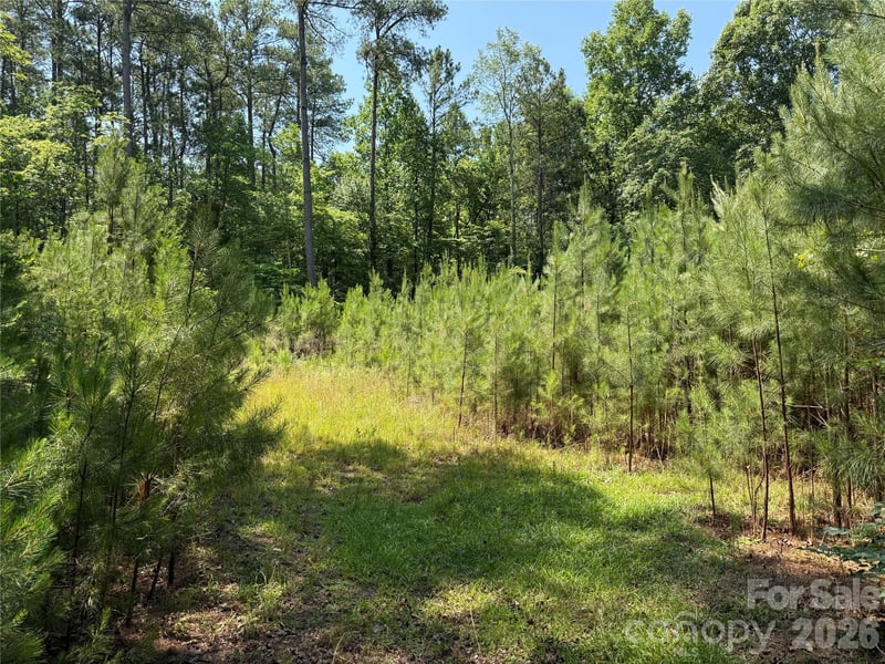 206 Corry Ln, Bostic, NC 28018