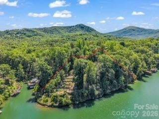 0000 Abbott Rd, Lake Lure, NC 28746