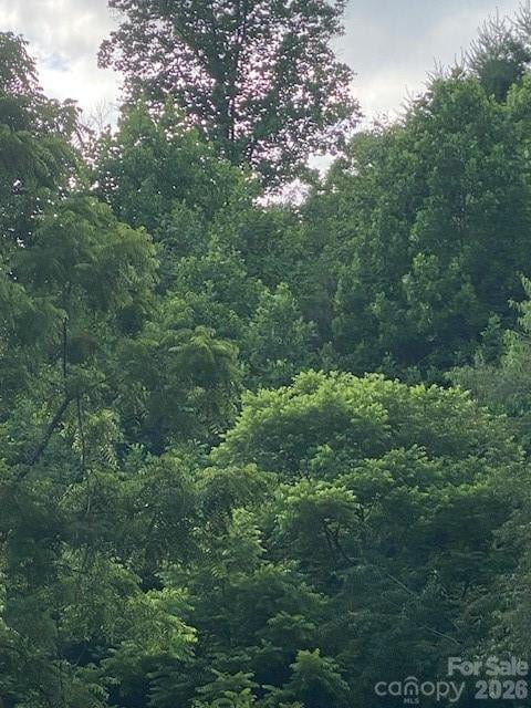 000 East Fork Rd, Marshall, NC 28753