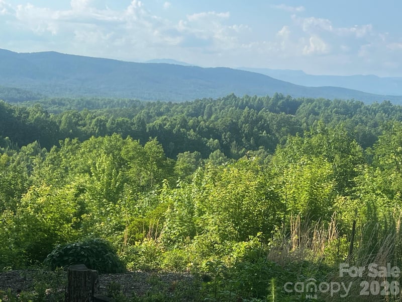 253 Falls Creek Dr, Nebo, NC 28761